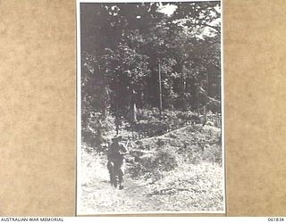 QX18224 LIEUTENANT J. HART OF THE 2/9TH AUSTRALIAN INFANTRY BATTALION, LEADING A PARTY OF SOLDIERS ALONG THE KOKODA TRAIL IN THE OWEN STANLEY RANGES DURING THE FILMING OF SEQUENCES FOR THE "RATS OF ..