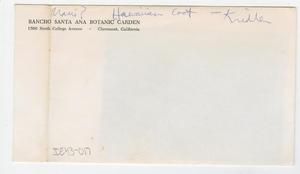 [Fulica alai in Hawaii, envelope IE43-017]