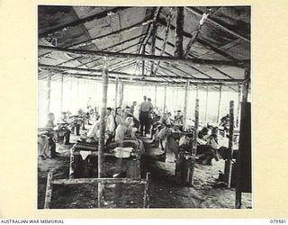 ORO BAY, NEW GUINEA. 1943-07. PATIENTS IN ONE OF THE 81 BED WARDS OF THE 10TH FIELD AMBULANCE