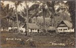 Native huts, Rarotonga.