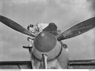 MILNE BAY, PAPUA. 1943-07-31. LEADING AIRCRAFTMAN N. M. GREEN OF NEDLANDS, WA, A FITTER WHO KEEPS THE PLANE FLYING IS WORKING ON THE COWLING OF ONE OF THE MOTORS OF A P38 LOCKHEED LIGHTNING ..