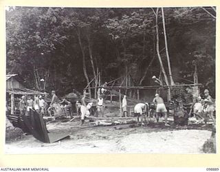 PIEDU ISLAND, SOLOMON ISLANDS. 1945-11-13. JAPANESE WORKING PARTY PREPARING A SITE FOR THE ERECTION OF A BUILDING IN JAPANESE AREA 10. JAPANESE CONCENTRATED ON THE ISLAND ARE UNDER THE CONTROL OF 7 ..