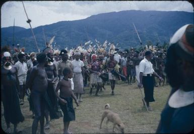 New Year's Day festivities at Minj Station, 1955, coastal and highland dancers in the dance square, a lonely dog accompanies them : Minj Station, Wahgi Valley, Papua New Guinea, 1954 / Terence and Margaret Spencer