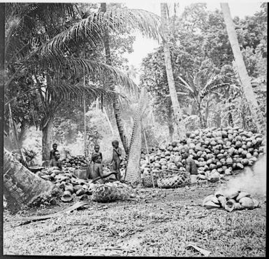 Piles of coconuts, plaited mats and people amongst trees, New Guinea, ca. 1936, 2 / Sarah Chinnery