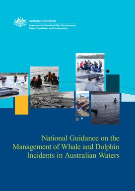 National guidance on the management of whale and dolphin incidents in Australia waters