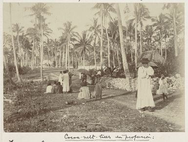 Scene on Niue Island