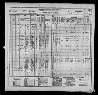 1940 Census Population Schedules - Hawaii - Hawaii County - ED 1-5