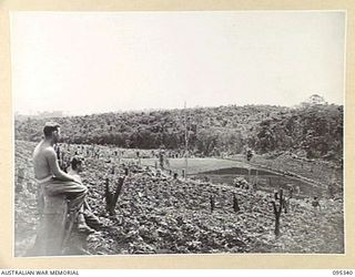 JACQUINOT BAY, NEW BRITAIN, 1945-08-20. MEMBERS OF 2 INDEPENDENT FARM PLATOON, AUSTRALIAN ARMY SERVICE CORPS, AT THE LOWER SECTIONS OF THE FARM WHERE NATIVES ARE AT WORK IN THE GARDENS