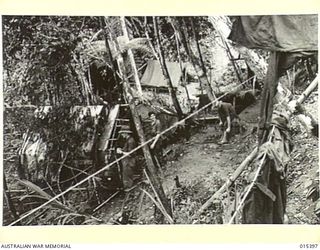 1943-08-04. NEW GUINEA. MAKING THE BEST OF NOT ALTOGETHER IDEAL CONDITIONS, AUSTRALIANS BUILT THIS CAMP IN THE JUNGLE ON A HILLSIDE NEAR MUBO. (NEGATIVE BY G. SHORT)