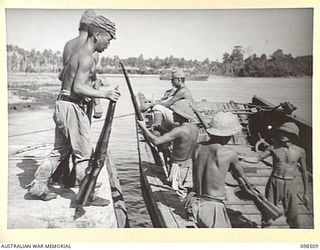 NAMATANAI, NEW IRELAND. 1945-10-29. JAPANESE WORKING PARTY LOADING RIFLES INTO A BARGE TO BE DUMPED IN NABUTO BAY. TROOPS OF 11 INFANTRY BATTALION, 13 INFANTRY BRIGADE, ARE SUPERVISING THE DUMPING ..