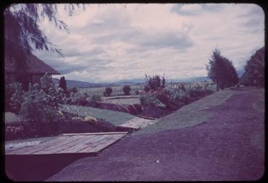 Looking down the road : Minj Station, Wahgi Valley, Papua New Guinea, 1954 / Terence and Margaret Spencer