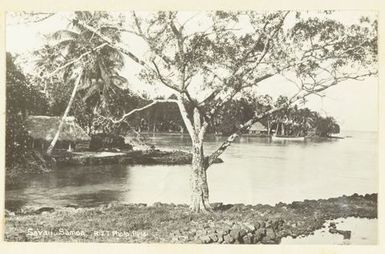 Savai'i, Samoa. From the album: Skerman family album