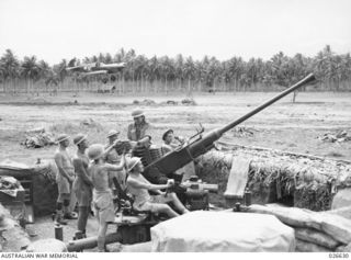 A Bofors 40mm anti-aircraft gun position, A Troop, 2/9th Light Anti-Aircraft Battery, Royal Australian Artillery, on the main fighter runway at Gili Gili airfield. A Kittyhawk fighter can be seen ..