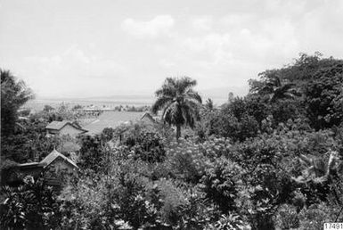 ["utsikt, träd, landskap, hus, fotografi, photograph"]