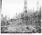 Railroad trestle under construction, Aloha Lumber Company, Grays Harbor County, Washington, approximately 1921