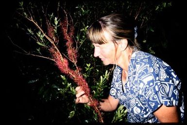 Viv Whitaker with flowering Metrosideros