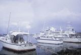 French Polynesia, fishing boats docked along shore of Tahiti Island