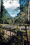 View of a country road in Tahiti