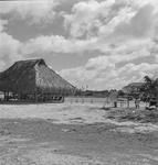 Scenery Borabora