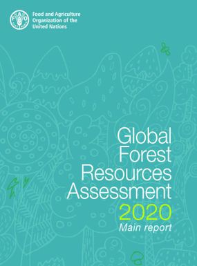 Global forest resources assessment