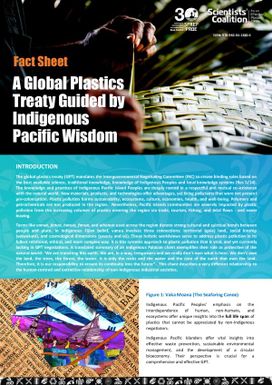 A Global Plastics Treaty Guided by Indigenous Pacific Wisdom - Factsheet