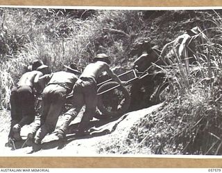 KAIAPIT, NEW GUINEA. 1943-09-25. TROOPS OF THE 2/27TH AUSTRALIAN INFANTRY BATTALION HAULING AMMUNITION UP A STEEP SLOPE