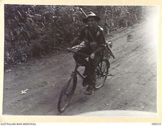 PILA PILA, RABAUL, NEW BRITAIN, 1945-09-11. A MEMBER OF 29/46 INFANTRY BATTALION, PRIVATE R TRENWITH, USES A JAPANESE BICYCLE TO CARRY WATER CANS DURING THE EARLY STAGES OF THE OCCUPATION OF RABAUL ..