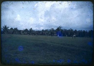 Mission grounds, Sasembata, Saiho 1951 / Albert Speer