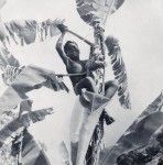 A boy climbing on a banana tree