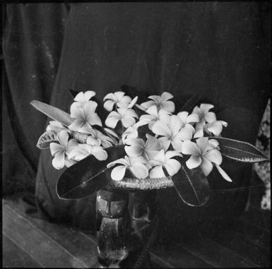 Frangipanni in a bowl on a carved Trobriand Island stool, Rabaul, New Guinea, ca. 1936, 3 / Sarah Chinnery