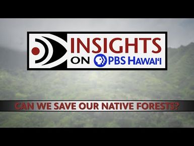Can We Save Our Native Forests? | INSIGHTS ON PBS HAWAIʻI