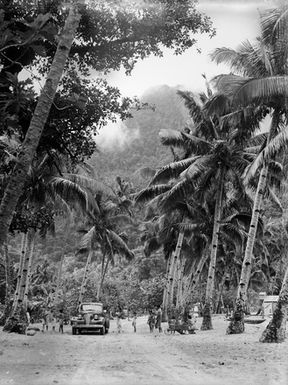 [Many Palm trees, people, and an automobile]