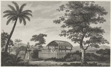 A view in the island of Otaheite / W. Woollett sculp