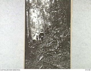 NEW GUINEA. 1944-04-04. NATIVE CARRIERS TRAVELLING ALONG UNCLEARED TRACK BETWEEN JAP LADDER CAMP AND NAURO. THE TRACK IS CONTROLLED BY THE 23RD LINE SECTION, 18TH LINES OF COMMUNICATION SIGNALS