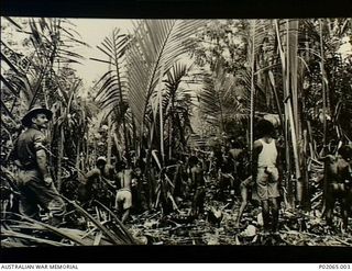 Buna, Papua. 1943. Johnny Levick, 17 Field Hygiene Company, and a group of indigenous (native) Papuans work at clearing a Nipa palm swamp in an attempt to eradicate the malarial mosquito. Swamps ..