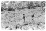 People standing in plantation