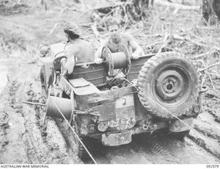 BOUGAINVILLE. 1945-05-24. ARTILLERY SIGNALLERS OF 2 FIELD REGIMENT, LAYING CABLE FROM A JEEP ALONG THE BUIN ROAD SOUTH OF THE HONGORAI RIVER. IDENTIFIED PERSONNEL ARE:- SIGNALMAN T.L. DEATHE (1); ..