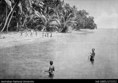 People fishing on coast