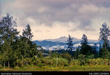 Mt Hagen - Mt Giluwe - 11,000 feet