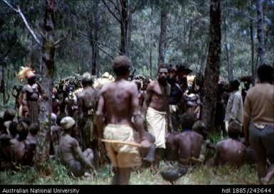 Group gathered in the bush