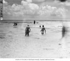 Scientists collecting fish after poison was spread in the water, probably near Uku Island, 1947