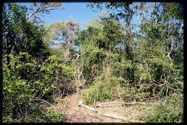 Habitat