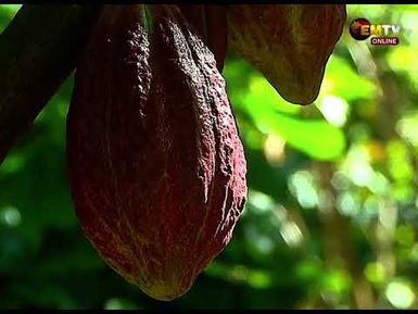 K1.2 BILLION COCOA BOOST