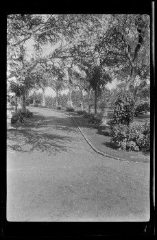 Atherton Drive