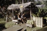 French Polynesia, people selling melons at roadside on Tahiti Island