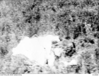 WEWAK AREA, NORTH EAST NEW GUINEA. C. 1945-06. A RAAF CAMERAMAN, IN A PROTECTING AIRCRAFT, PHOTOGRAPHED LIEUTENANT (LT) CARTER STANDING ALONGSIDE HIS PARACHUTE, WHICH HE HAD SPREAD ON THE GROUND AS ..