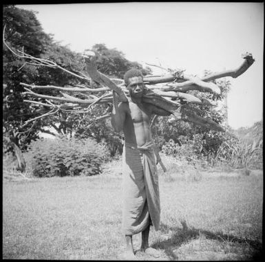 Man carrying a load of long branches, New Guinea, ca. 1936 / Sarah Chinnery