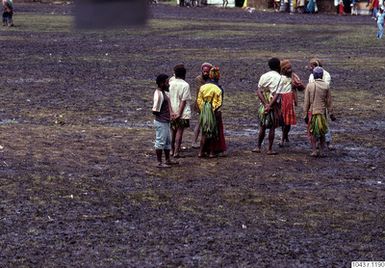 ["fotbollsmatch, åskådare, fotografi, photograph"]