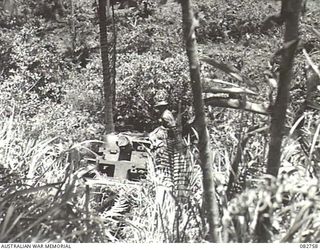 MADANG, NEW GUINEA. 1944-10. A CHURCHILL MK V TANK ENGAGED IN ITS FIRST ATTEMPT AT COURSE NO. 3 DURING TESTS CONDUCTED AT HQ 4 ARMOURED BRIGADE