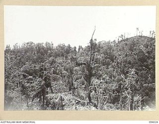 WEWAK AREA, NEW GUINEA, 1945-07-14. THE PANORAMA FROM "THE BLOT" AT THE RIGHT IS MOUNT SHIBURANGU WITH WEST WEWAK IN THE BACKGROUND